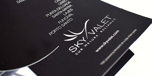 Logo - Sky Valet